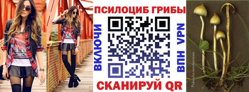 Галлюциногенные грибы GOLDEN TEACHER  закладки  Ядрин 